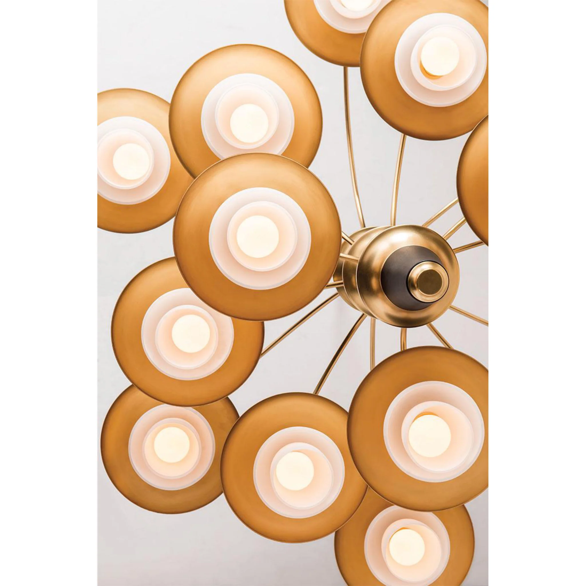 Barron 1-Light Wall Sconce in  Aged Brass 8L x 8W x 8.25H - Image 5